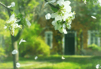 1622010643141424.gif image001.gif
